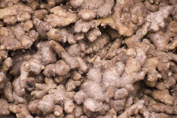 Heap Raw Ginger Roots Market Bangladesh Zingiber Officinale Widely Used — Stockfoto