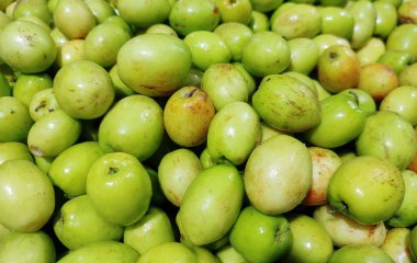 Ziziphus mauritiana. Indian jujube. Indian plum. Chinese date. Chinese apple. Dunks.