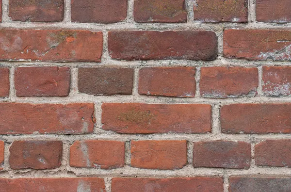 Viejo fondo de pared de ladrillo — Foto de Stock