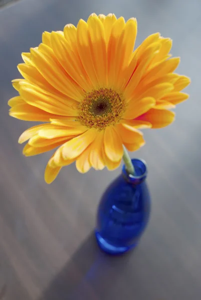 Naranja y azul — Foto de Stock