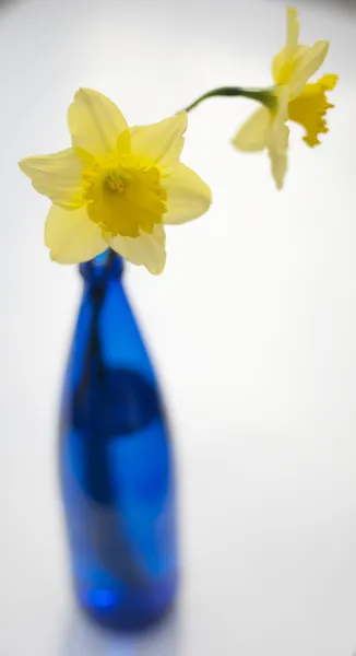 Mattina di primavera — Foto Stock