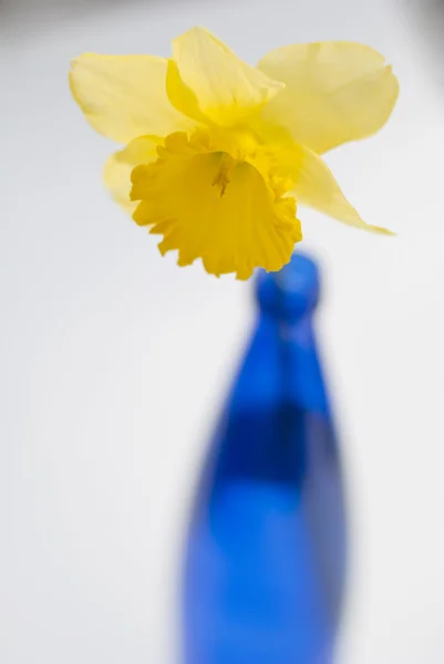 Mattina di primavera — Foto Stock