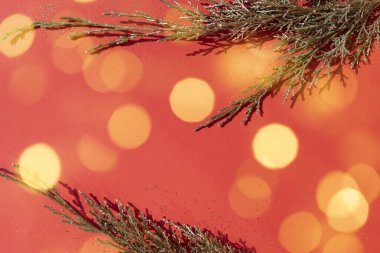 Altın selvi ağacının dalları kırmızı bir zemin üzerinde parıltı ve bokeh ışıkları ile çerçevelenir