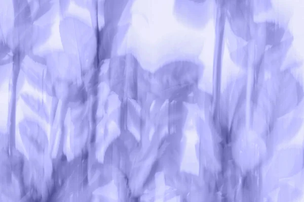 Фиолетовые розы движения размыть абстрактный фон — стоковое фото