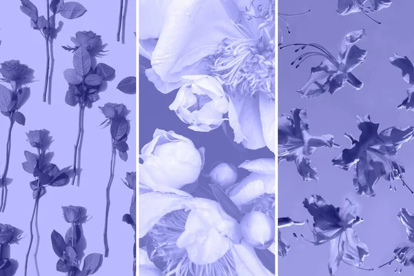 Collage aus floralen Mustern, um die violette Farbe des Jahres zu demonstrieren — Stockfoto