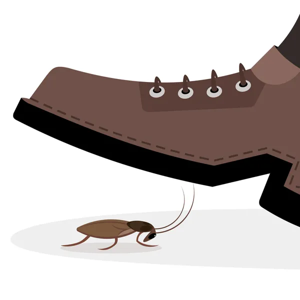 Zapato pisotear cucaracha — Vector de stock