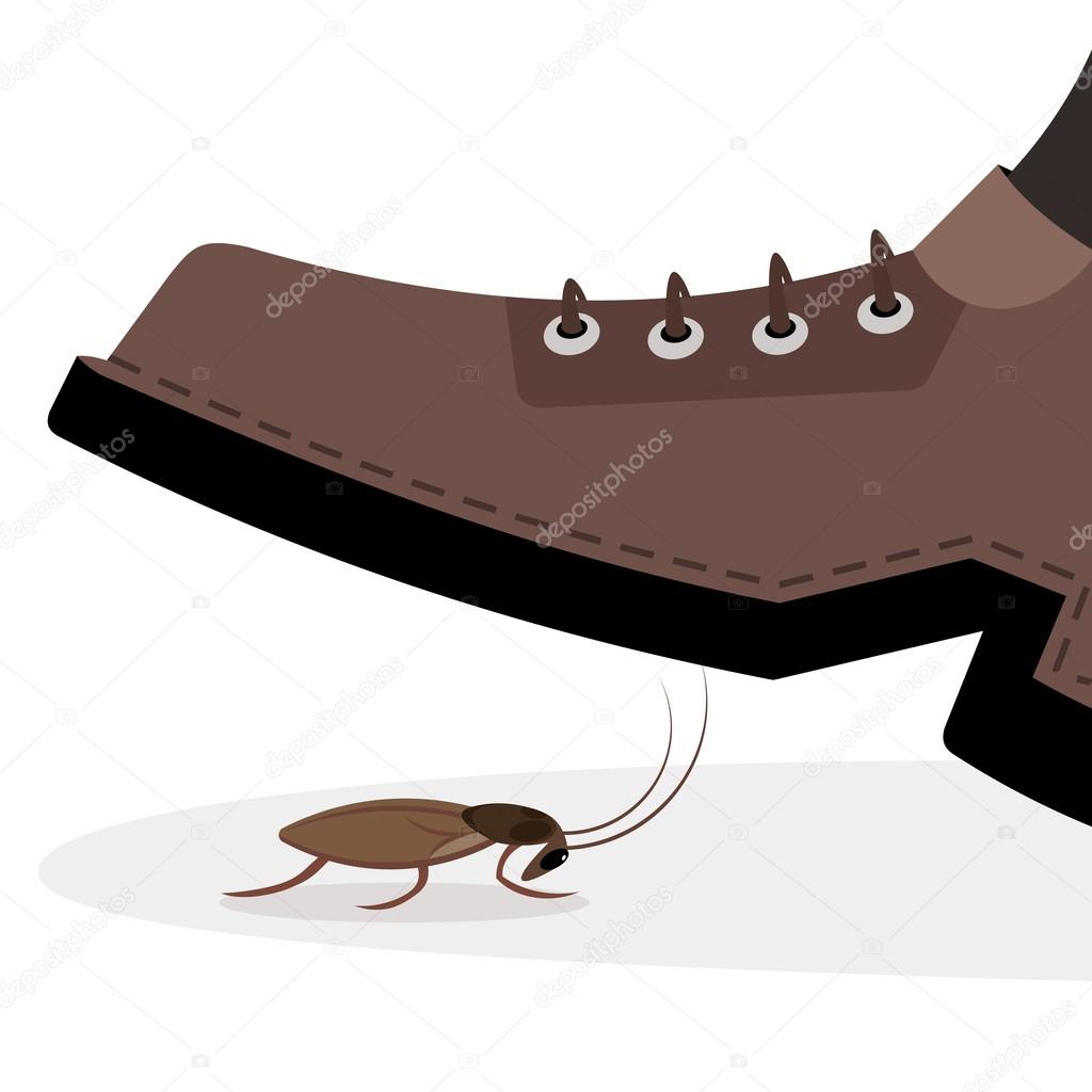 Shoe trample cockroach