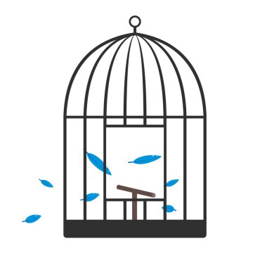 Kuş kafesten kaçtı. Geriye sadece mavi tüyler kaldı. 