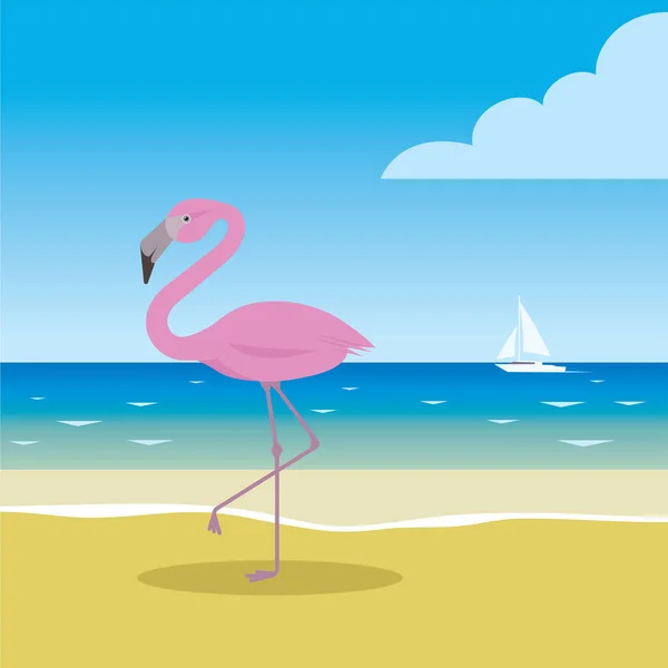 海滩上的粉色火烈鸟 — 图库矢量图片