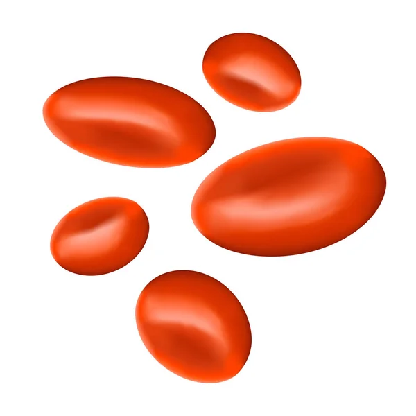Rode Bloedcellen Erytrocyten — Stockvector
