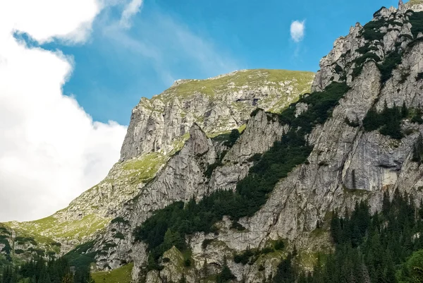 Beautiful Carpathians mountain with blues sky — Stock Photo, Image