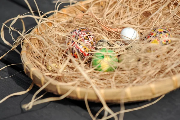 Easter painted eggs and hay basket — Stock Photo, Image