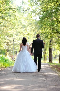 Gelin ve damat parkta yürüyor.