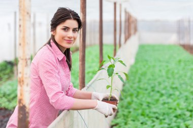 güzel bir kadın, bahçıvan portresi
