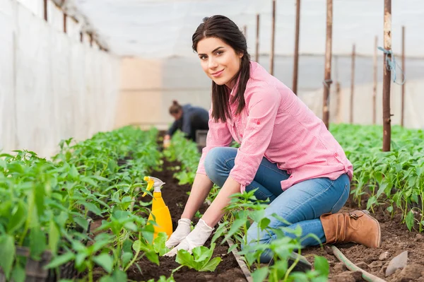 Ritratto di giardiniere donna che lavora — Foto Stock