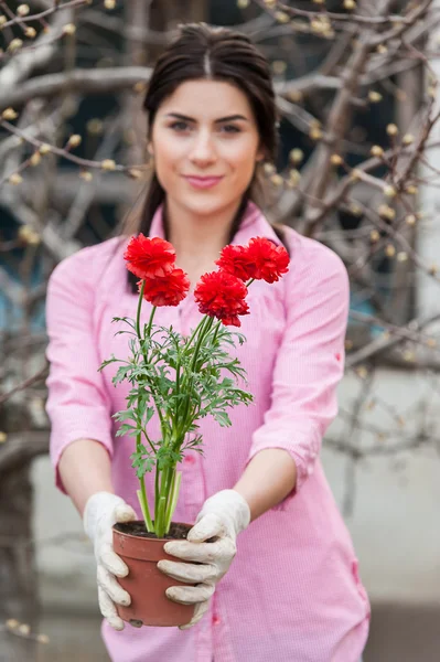 Junge Gärtnerin mit einem Blumentopf in der Hand — Stockfoto