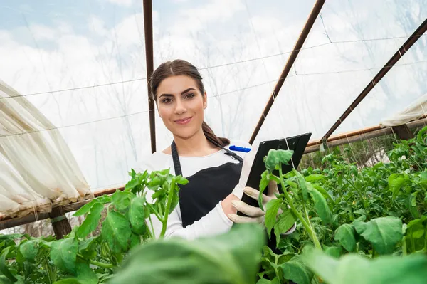 Młoda kobieta rolnictwa inżynier kontroli upraw — Zdjęcie stockowe