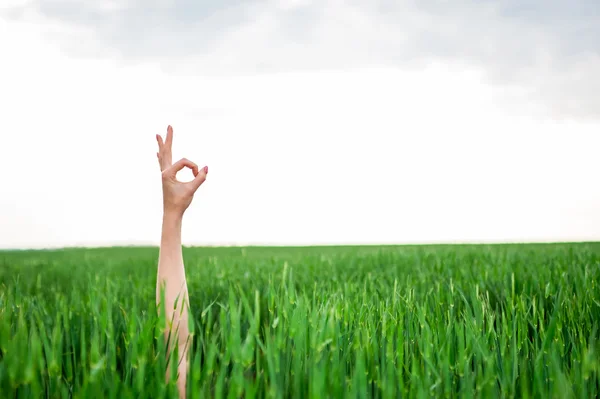 Closeup of a woman's hand making ok or zero sign — Stock Photo, Image