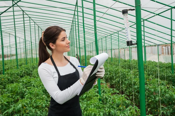 Porträtt av ung jordbruk kvinnliga ingenjör som arbetar i växthus Stockbild