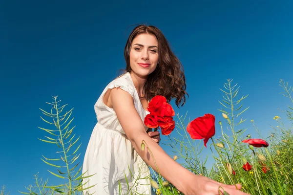 ケシの花束を保持にケシ畑での夏の女の子 — ストック写真