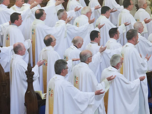 Maynooth College, Maynooth, Kildare, Ireland, 1st June 2014.15 Seminarians were ordained to the Deaconate in Maynooth College on 1st June . — стоковое фото