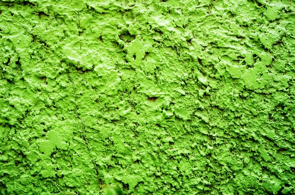 Textura verde parede de fundo — Fotografia de Stock