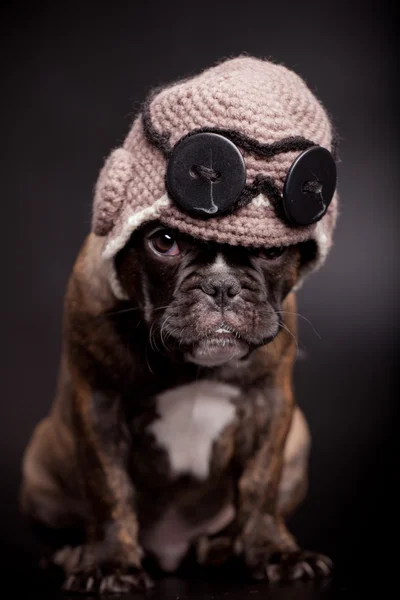 French bulldog puppy in knit pilot helmet — Stock Photo, Image
