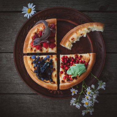 Sürüngen ve amfibik hayvanlar peynirli kek üzerinde böğürtlenli turta tahta arka planda