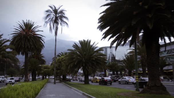 Centro en Tropical City — Vídeo de stock