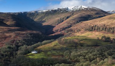 tepenin altında yaşam
