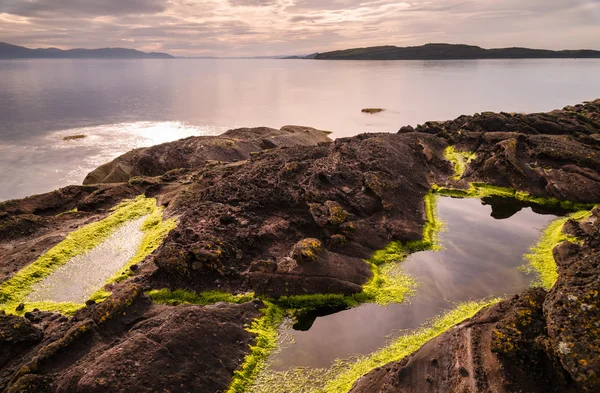 Groene plassen — Stockfoto