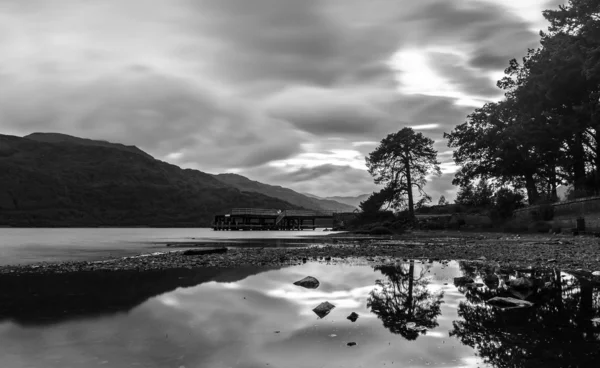 Tree reflection — Stock Photo, Image