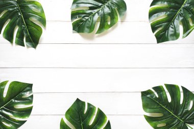 Yeşil Yaprak Beyaz Ahşap Arkaplan Doğa Kopya Alanı Tasarım ya da Kurgu Ürünleri