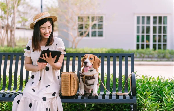 Happy Woman Using Tablet Sitting Her Beagle Dog Park Outdoors — Stock Fotó