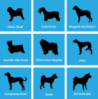 Köpekler simgeler
