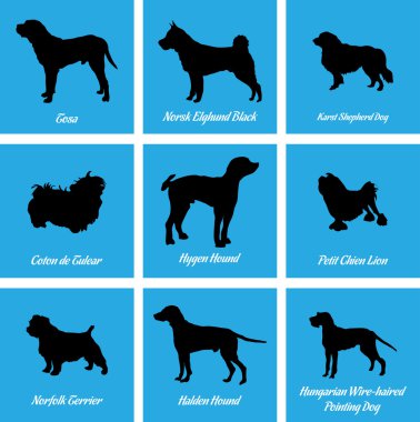 Köpekler simgeler