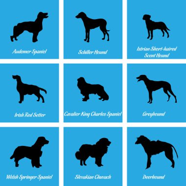 Köpekler simgeler