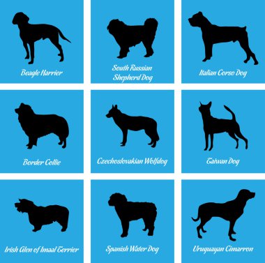 Köpekler simgeler