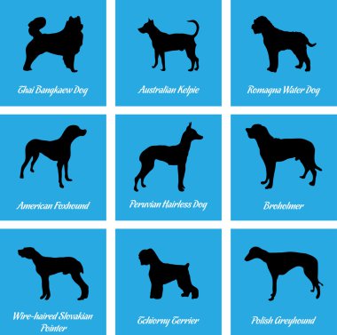 Köpekler simgeler