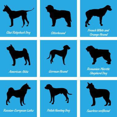 Köpekler simgeler