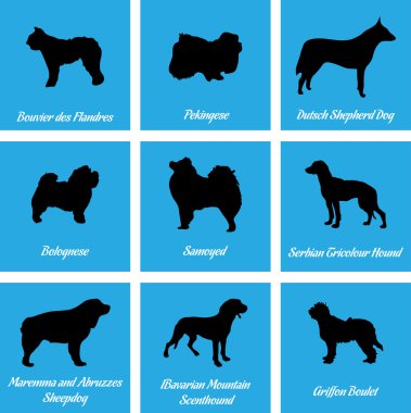 Köpekler simgeler