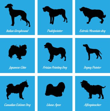 Köpekler simgeler