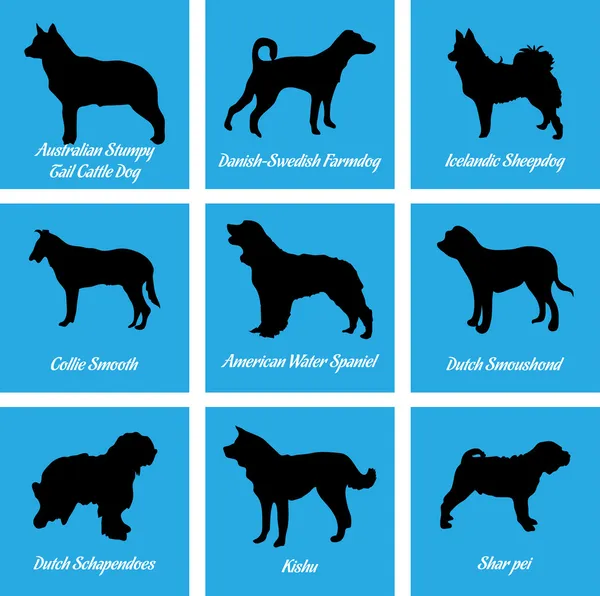 Iconos de perros — Vector de stock