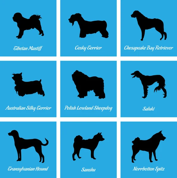 ไอคอนสุนัข — ภาพเวกเตอร์สต็อก