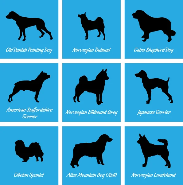 Iconos de perros — Archivo Imágenes Vectoriales