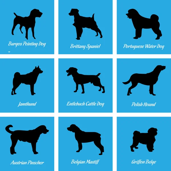 Honden pictogrammen — Stockvector