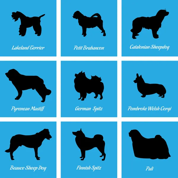 Ícones de cães —  Vetores de Stock