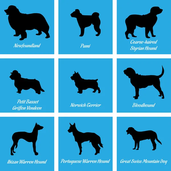 Iconos de perros — Vector de stock