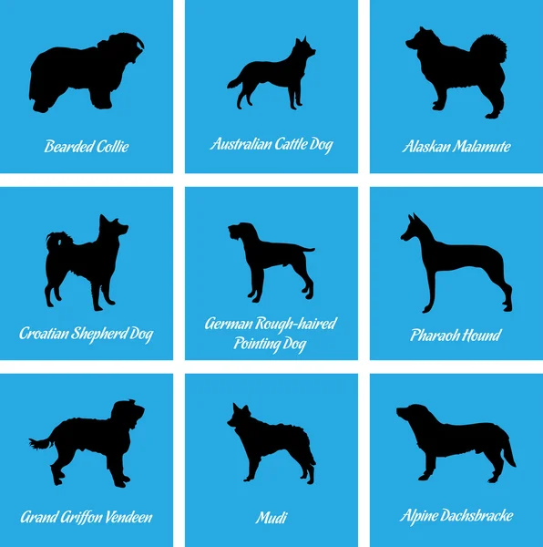 Icônes de chiens — Image vectorielle