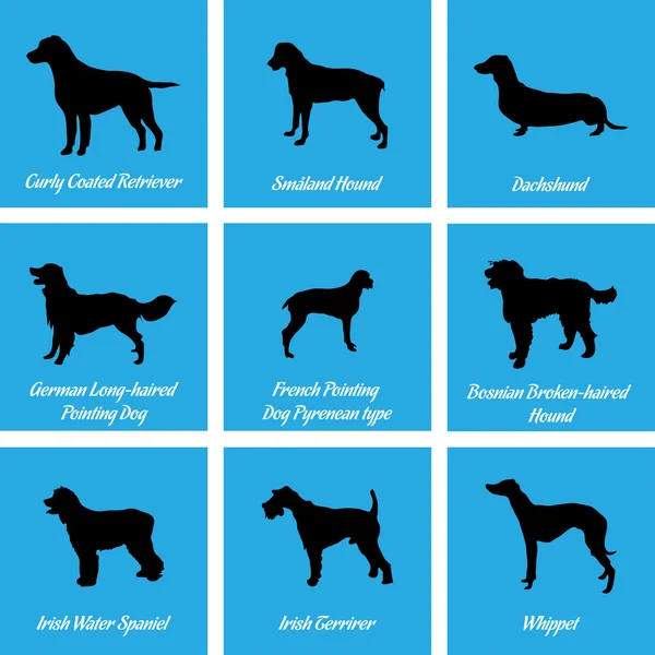 Icônes de chiens — Image vectorielle